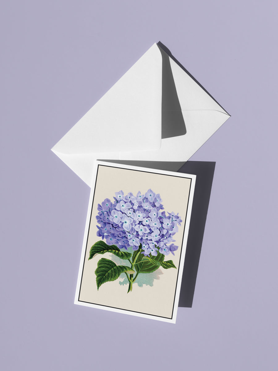 Vintage Botanical Notecard Set – Clover School Gallery