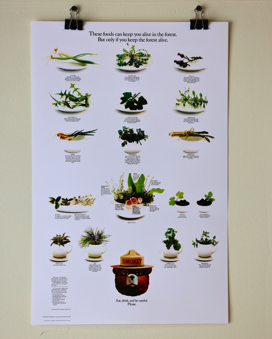 Smokey The Bear "Eat Your Greens" Vintage Print
