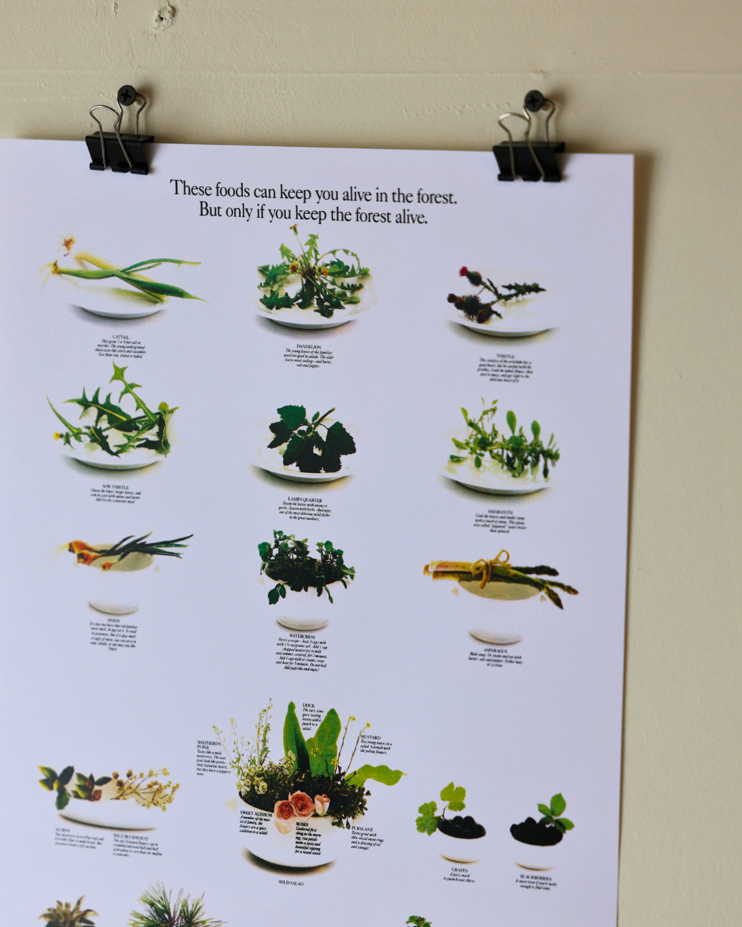 Smokey The Bear "Eat Your Greens" Vintage Print