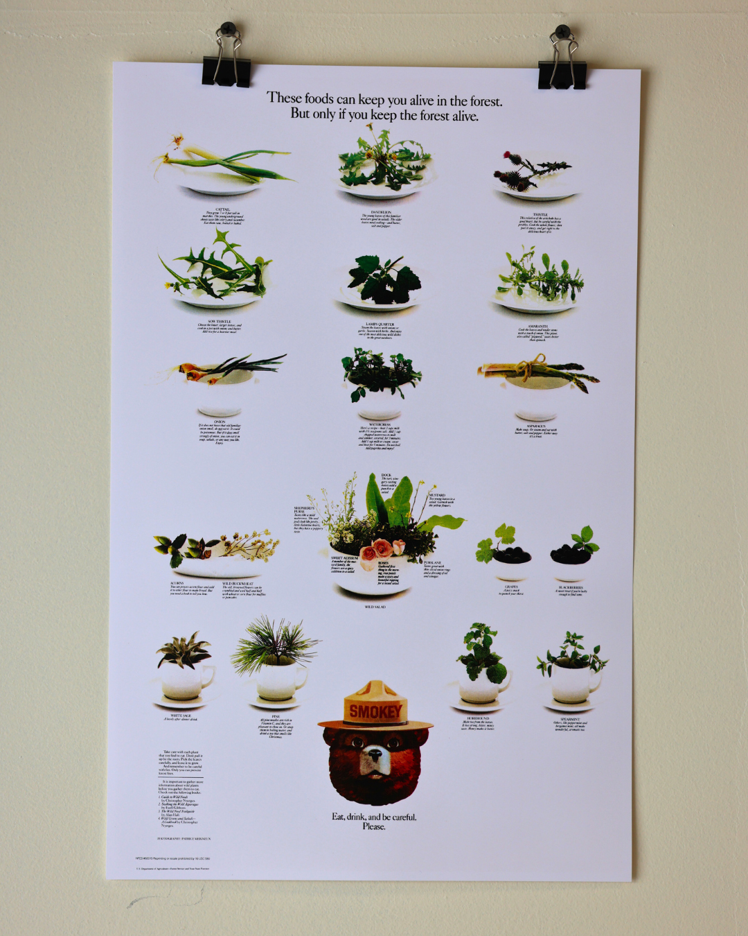 Smokey The Bear "Eat Your Greens" Vintage Print