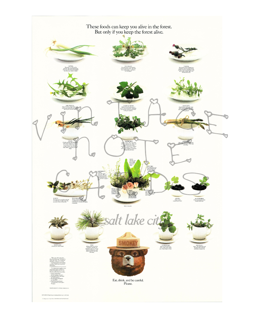 Smokey The Bear "Eat Your Greens" Vintage Print