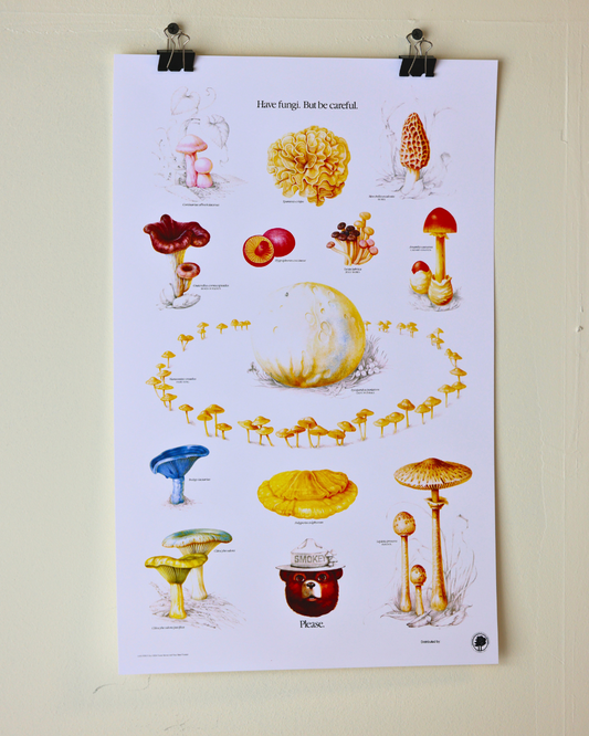 Smokey The Bear "Have Fun-gi" Vintage Mushroom Print