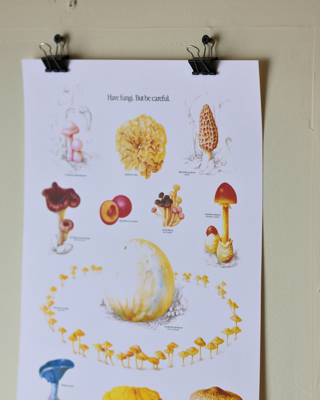 Smokey The Bear "Have Fun-gi" Vintage Mushroom Print