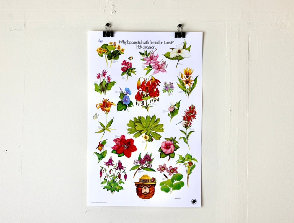 Smokey The Bear "Pick a Reason" Vintage Flower Print