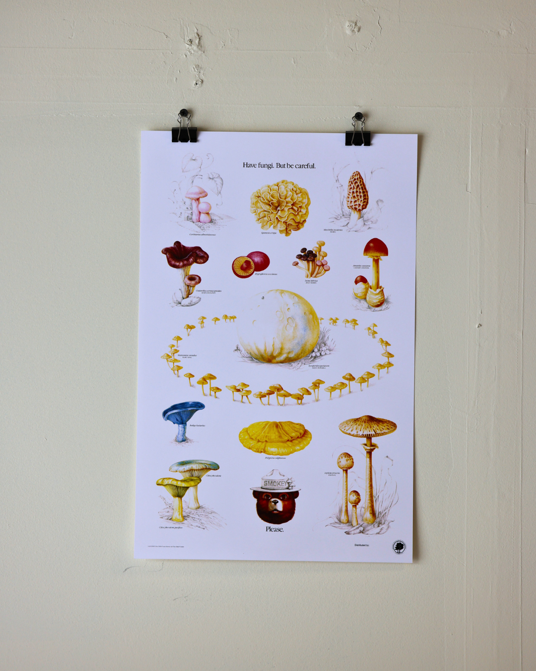 Smokey The Bear "Have Fun-gi" Vintage Mushroom Print