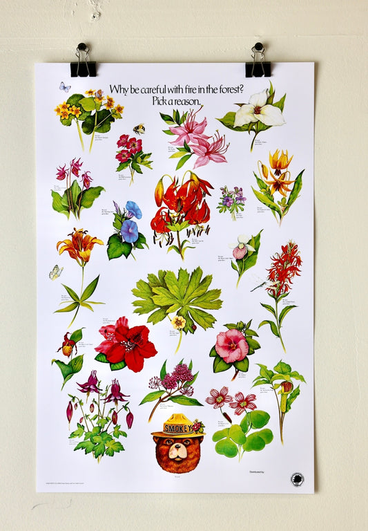 Smokey The Bear "Pick a Reason" Vintage Flower Print