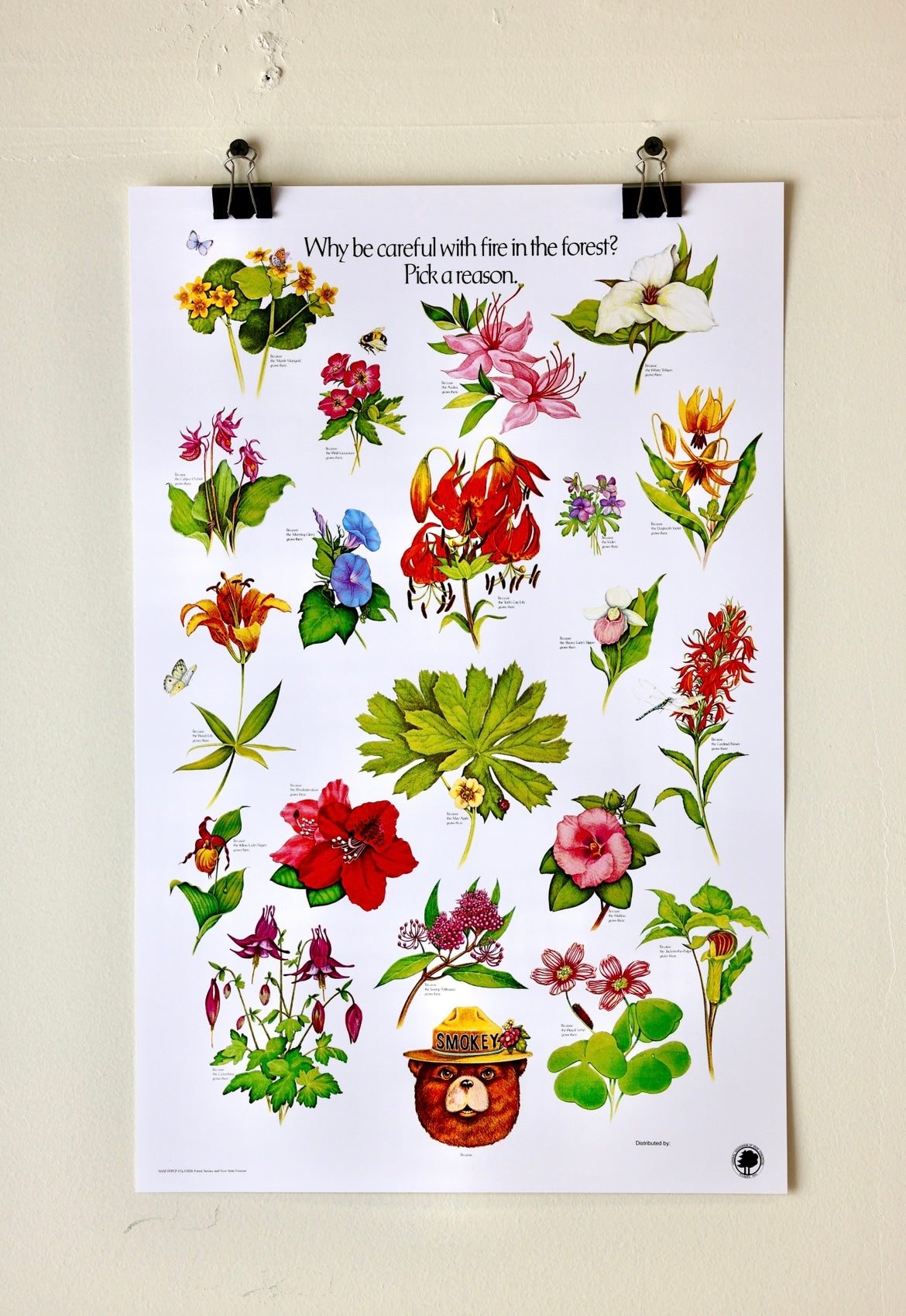 Smokey The Bear "Pick a Reason" Vintage Flower Print