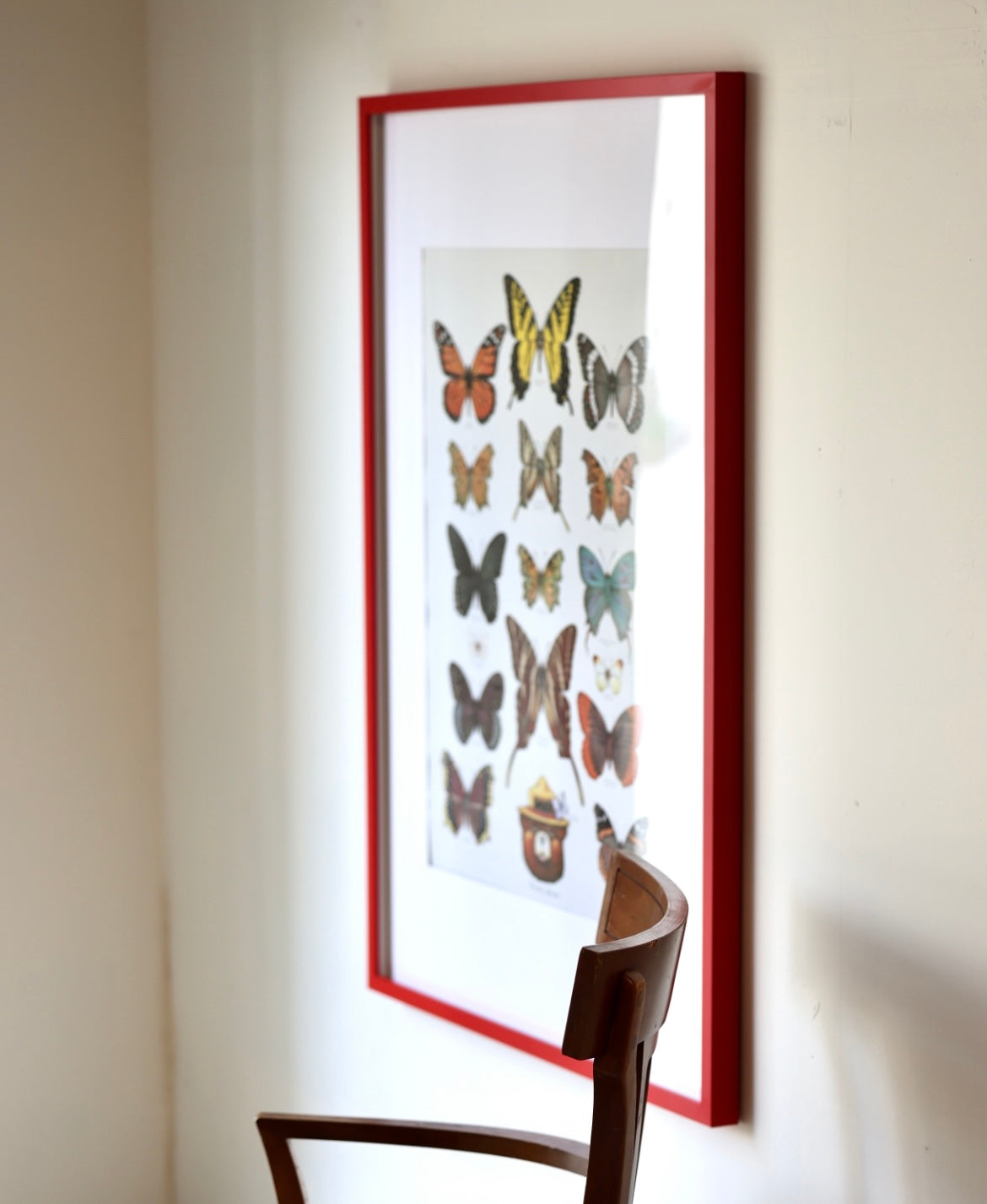 Smokey The Bear "Butterfly" Vintage Print
