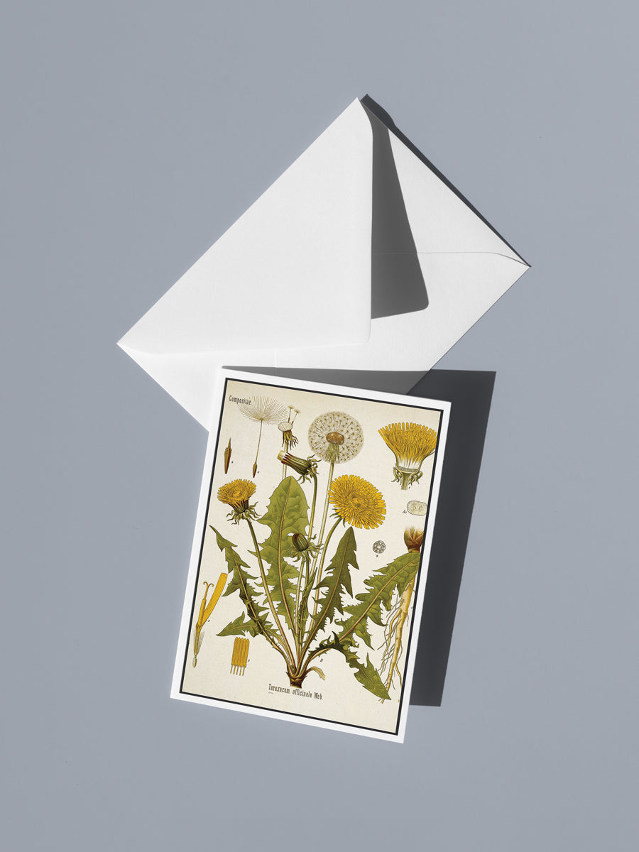 Dandelion Season Notecard Set