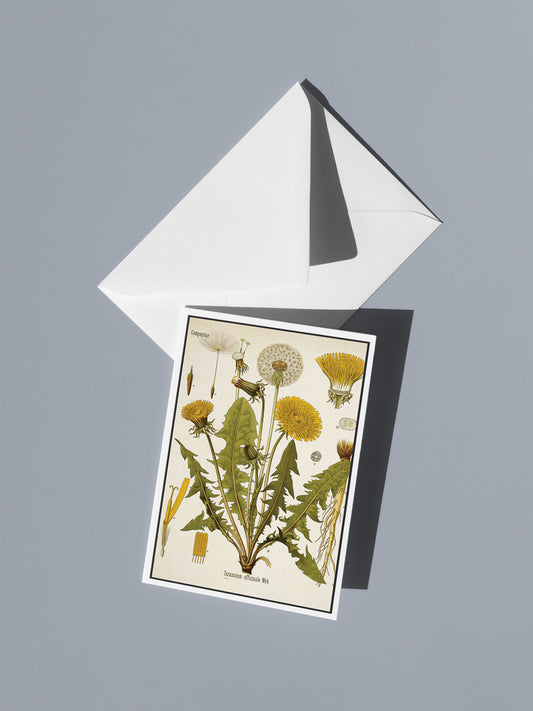 Dandelion Season Notecard Set