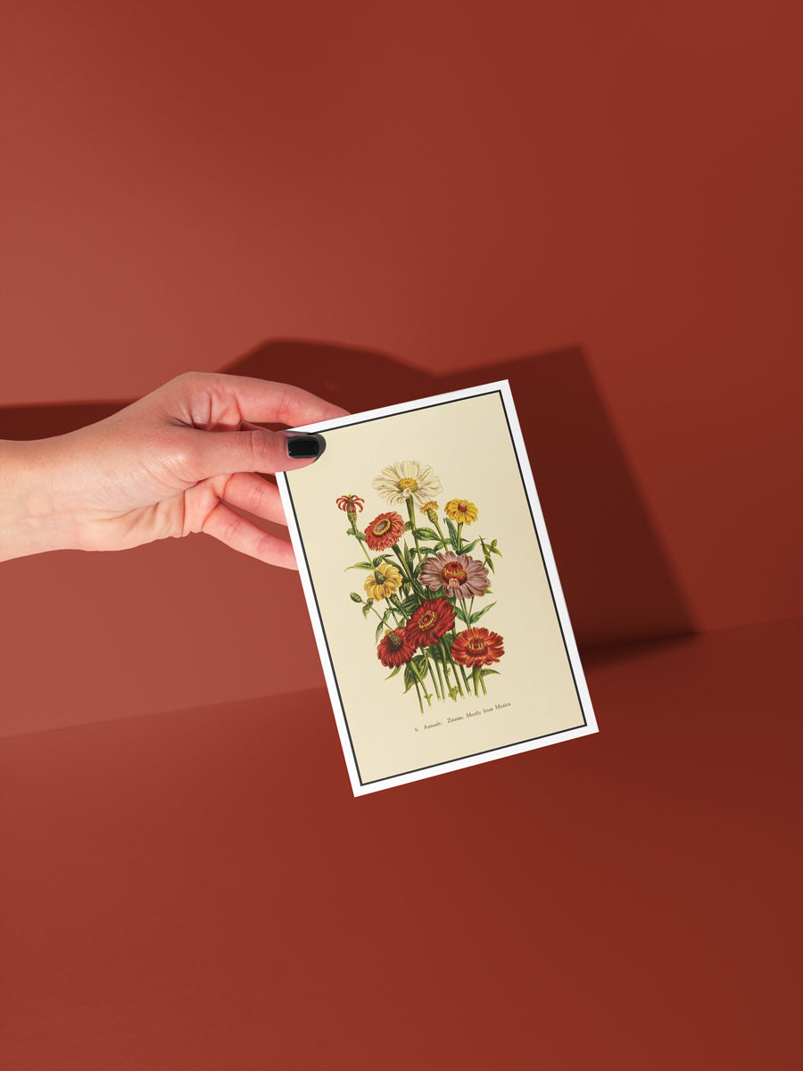 Wildflower Bouquet Botanical Notecard Set