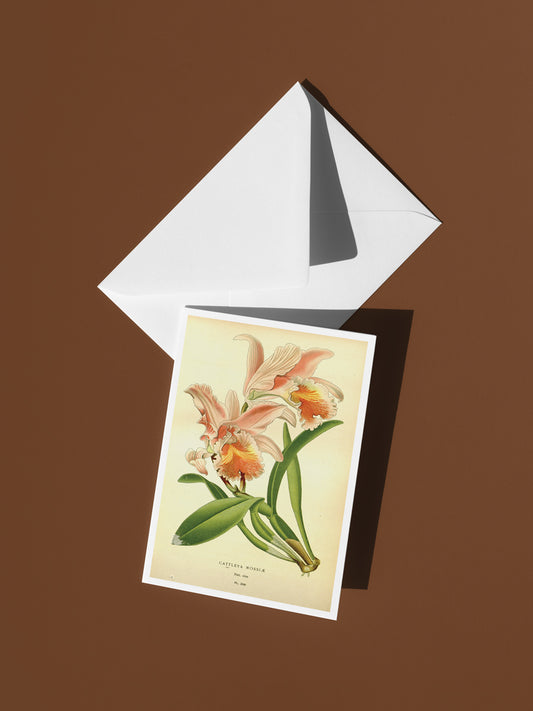 Sunset Bloom Botanical Notecard Set