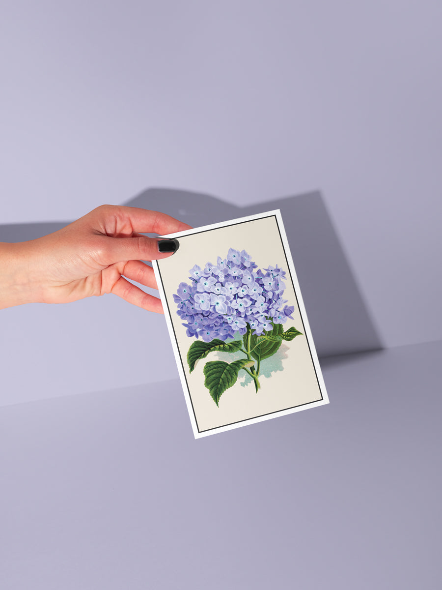 Vintage Botanical Notecard Set – Clover School Gallery