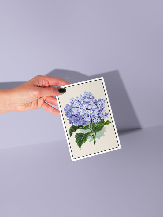 Vintage Botanical Notecard Set