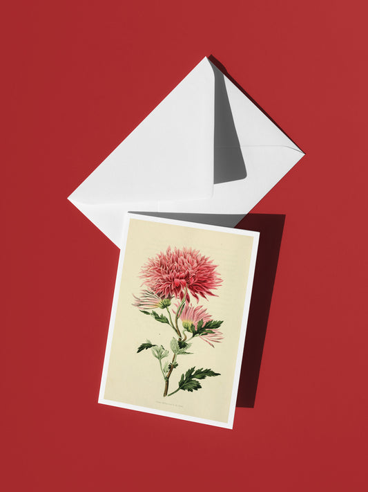 Blushing Dahlia Botanical Notecard Set