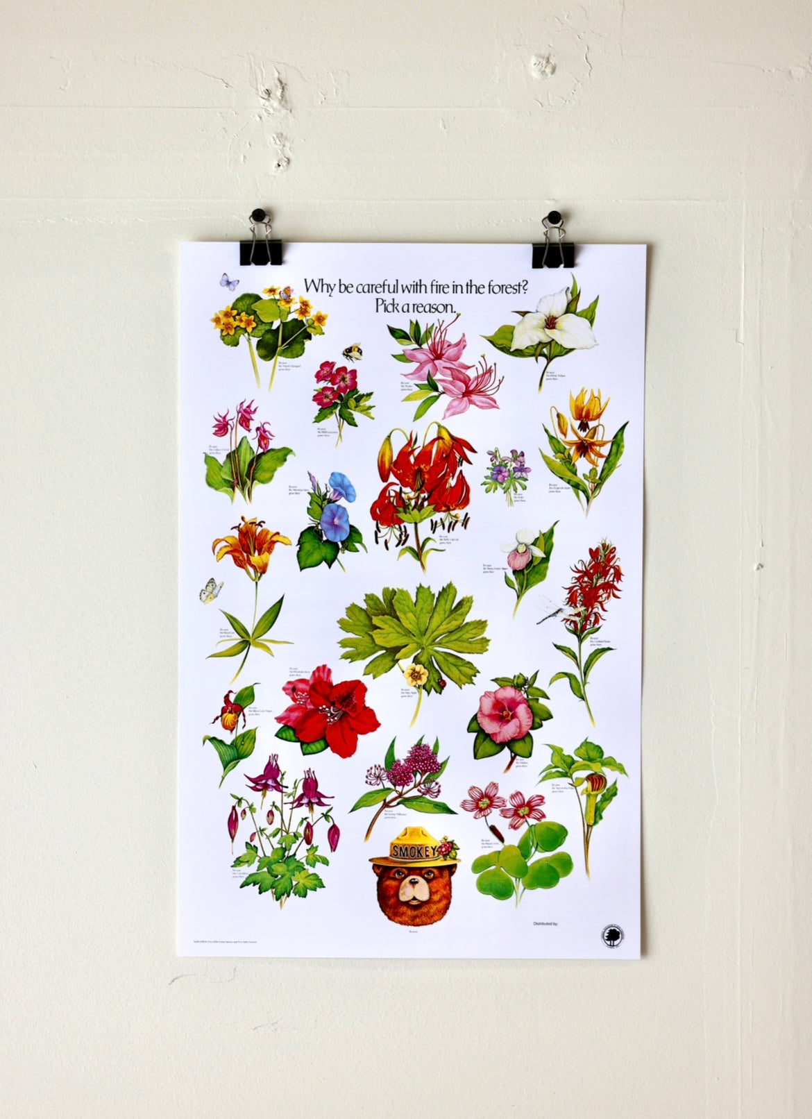 Smokey The Bear "Pick a Reason" Vintage Flower Print