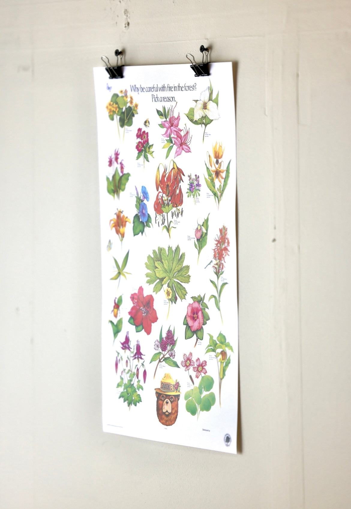 Smokey The Bear "Pick a Reason" Vintage Flower Print