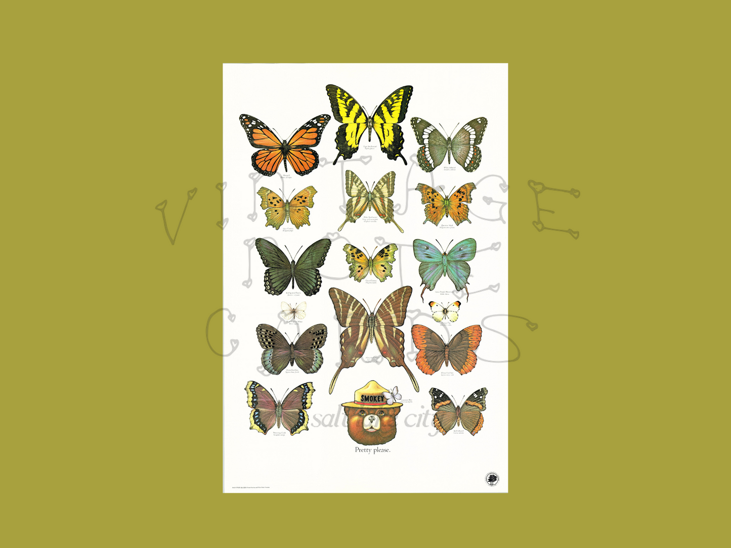 Smokey The Bear "Butterfly" Vintage Print